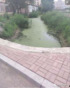 营口老边区爆料事件最新,真相揭开,疑云散去,居民生活回归平静 第1张 营口老边区爆料事件最新,真相揭开,疑云散去,居民生活回归平静 第1张